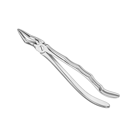Extracting forceps, engl
